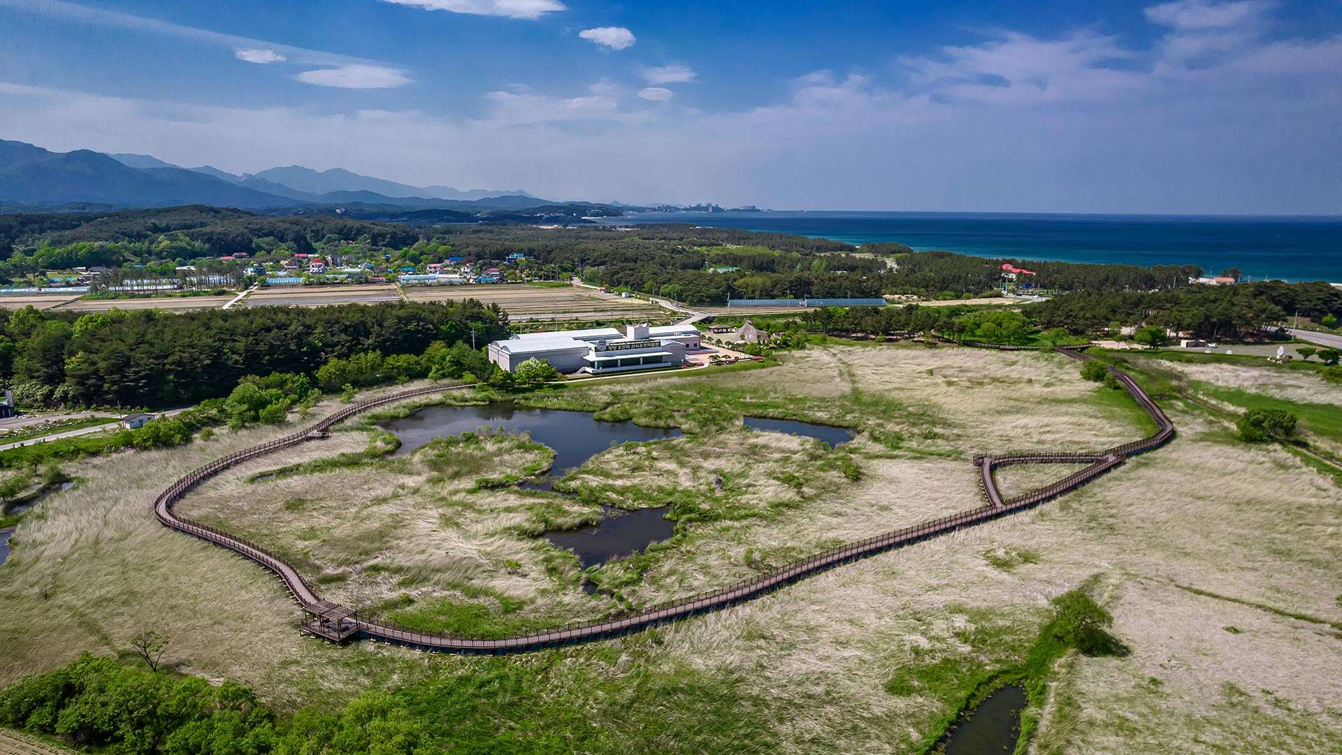 오산리선사유적박물관