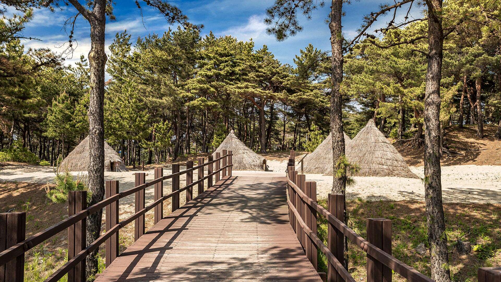 오산리선사유적박물관